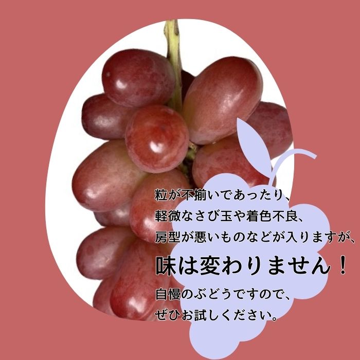 訳ありクイーンルージュTM 4kg 9月下旬より発送開始 長野県 信州 南信州 高森町 農家直送 果物 くだもの ぶどう 旬のぶどう ご家庭用 ともの谷農園