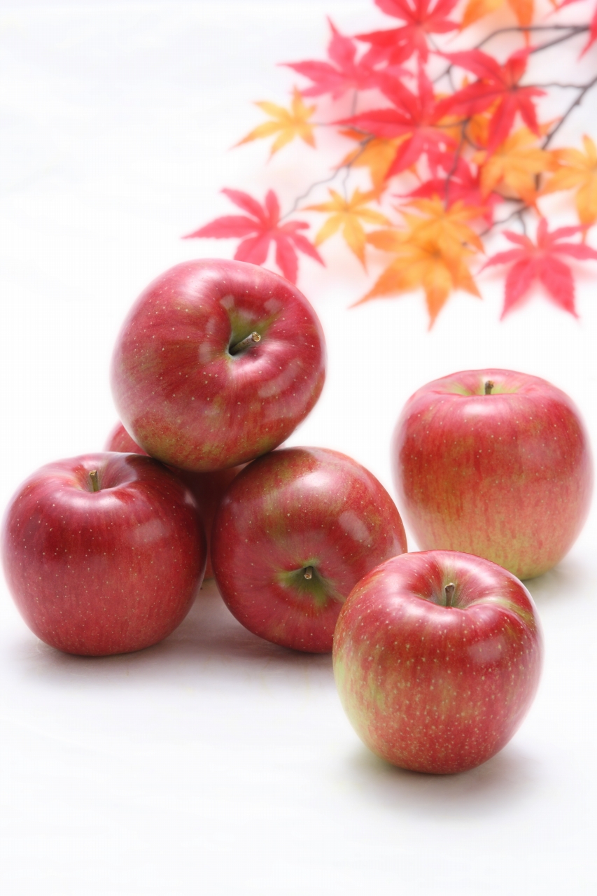 甘味たっぷり！【南信州産】シナノスイート 約5kg 10～18玉 2026年10月中旬より発送 長野県 信州 高森町 産地直送 果物 くだもの 旬のりんご りんご リンゴ りんご3兄弟 JAみなみ信州