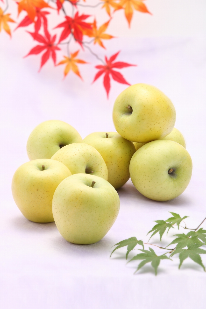 爽やかな風味！【南信州産】シナノゴールド 約5kg 10～18玉 2026年10月下旬より発送 長野県 信州 高森町 産地直送 果物 くだもの 旬のりんご りんご リンゴ りんご3兄弟 JAみなみ信州