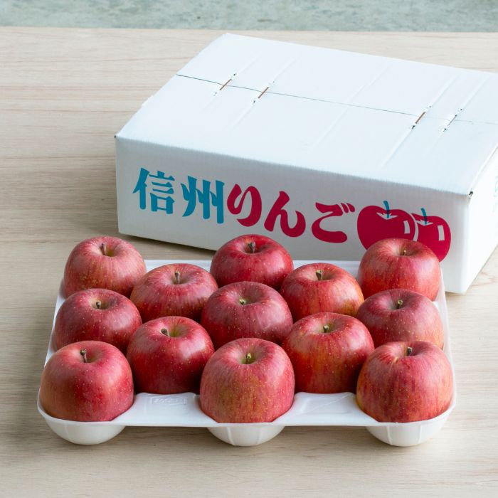 北城農園で人気の南信州産りんご（完熟サンふじ  11-13玉 約4kg)令和7年分先行予約 長野県 信州 高森町 果物 くだもの 旬 旬の果物 旬のりんご