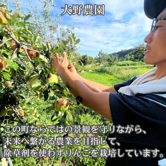 シナノホッペ 3kg箱 ＜10月下旬より発送＞ 長野県 南信州 高森町 りんご