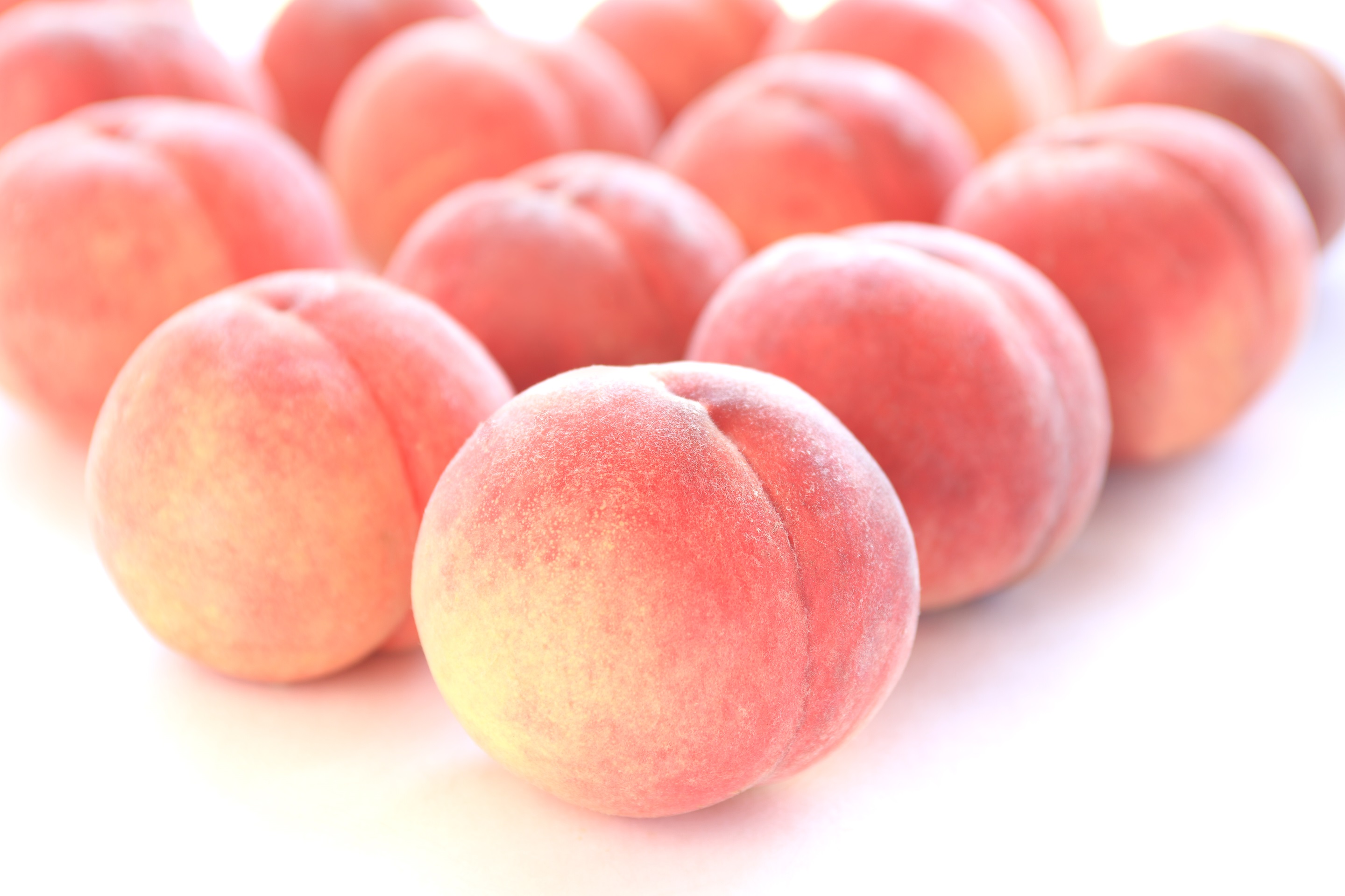 【南信州産果実定期便】あかつき・シャインマスカット・南水・市田柿 長野県 信州 高森町 果物 くだもの フルーツ 桃 もも ぶどう 梨 なし 柿 干し柿 旬の果実 JAみなみ信州