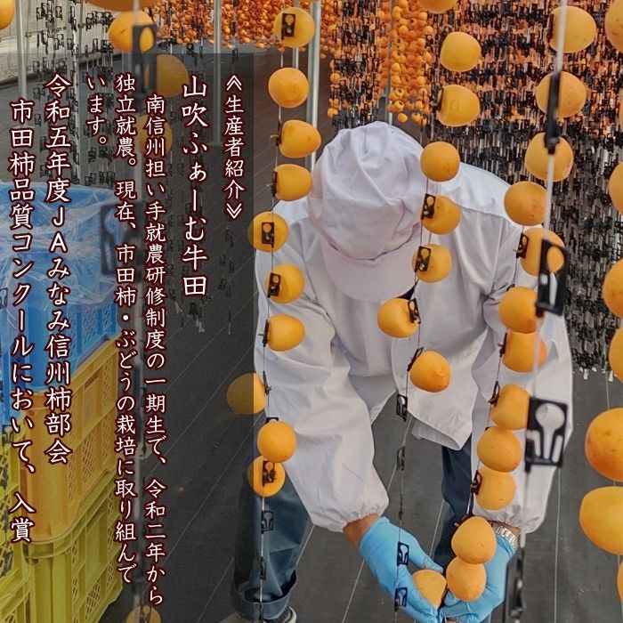 【数量限定】市田柿 2Lサイズ 500g×2袋 2026年1月発送開始 長野県 信州 南信州 高森町 柿 干し柿 かき 高級 和菓子 お茶請け ドライフルーツ 自然食品 山吹ふぁーむ牛田