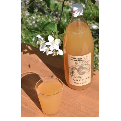 【南信州高森産】旬のシナノスイート100%りんごジュース(1リットル×3本) 長野県 信州 ストレートりんごジュース りんご リンゴ ３本