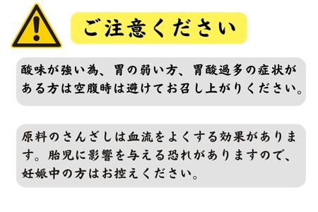 和漢ドライフルーツ「さんざし条」40g×10袋 長野県 信州 南信州 高森町 山査子 果実 おやつ 戸田屋