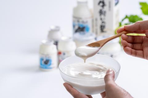 いちだヨーグルト 飲むも食べるも詰め合わせセット 長野県 信州 南信州 高森町 乳製品 巨峰 ヨーグルト 飲むヨーグルト プレーンヨーグルト さとうきびヨーグルト ヨーグルト巨峰 信州市田酪農