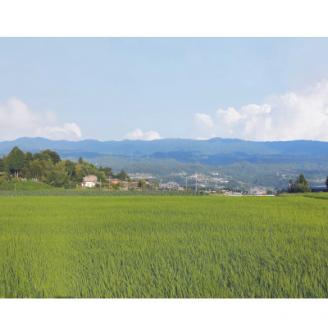 2025年産【南信州高森産】コシヒカリ玄米30kg 長野県 信州 米 コメ 農事組合法人フクロウ