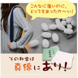 【南信州高森町】高級袖無し半てん「真綿ねこ」(女性用)