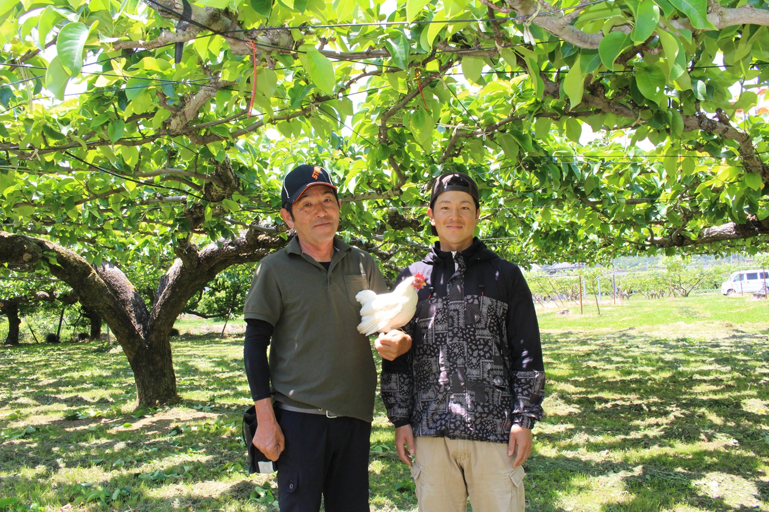 【南信州産】梨「あきづき」秀品 約5kg（8玉～16玉） 2026年9月下旬より発送 長野県 信州 高森町 産地直送 果物 くだもの なし ナシ 和梨 旬 旬の果物 旬の梨 秋月 ギフト 贈答 JAみなみ信州