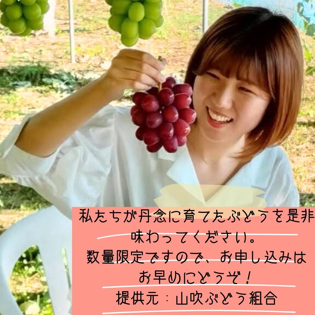 【南信州高森産】クイーンルージュTM 1.2㎏ 2026年9月中旬より発送 長野県 信州 農家直送 果物 くだもの ぶどう 旬のぶどう ルージュ 山吹ぶどう狩り組合