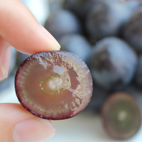 【皮ごとOK!】長野県産・種なしナガノパープル(約1kg)秀品 2026年8月下旬から順次発送予定 信州 南信州 高森町 産地直送 果物 くだもの ぶどう 旬のぶどう パープル 山下屋荘介