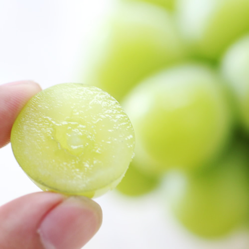 【氷温貯蔵】長野県産・シャインマスカット（約2kg）秀品 11月中旬より発送 信州 南信州 高森町 産地直送 果物 くだもの ぶどう 旬のぶどう シャイン 山下屋荘介