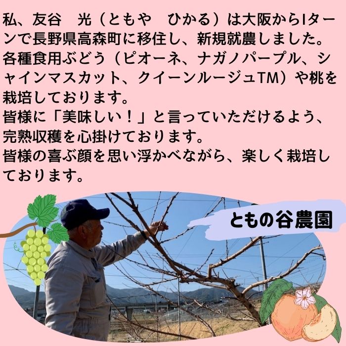 訳ありクイーンルージュTM 4kg 9月下旬より発送開始 長野県 信州 南信州 高森町 農家直送 果物 くだもの ぶどう 旬のぶどう ご家庭用 ともの谷農園