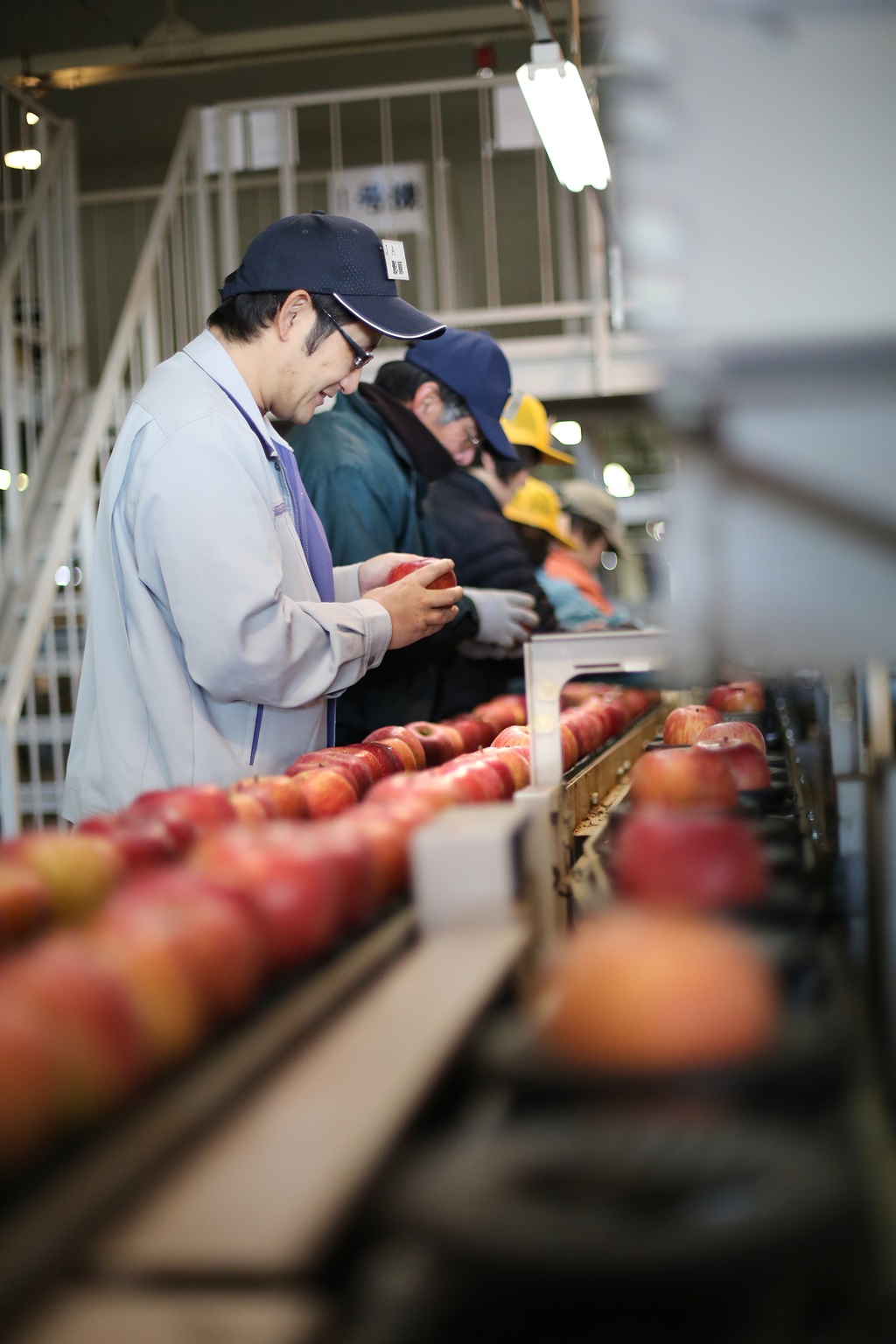 甘味たっぷり！【南信州産】シナノスイート 約5kg 10～18玉 2026年10月中旬より発送 長野県 信州 高森町 産地直送 果物 くだもの 旬のりんご りんご リンゴ りんご3兄弟 JAみなみ信州