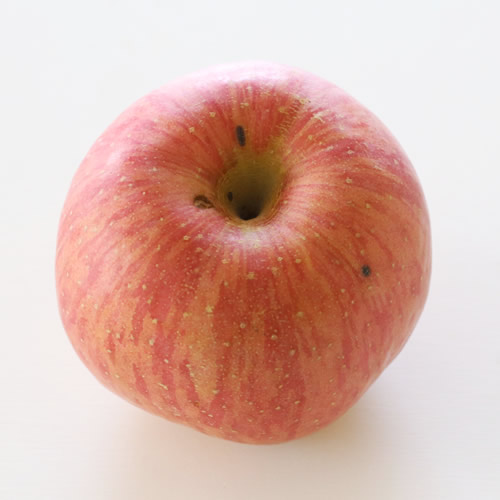 【訳あり品】 長野県産・サンふじ (約5kg)  2026年1月上旬より発送 信州 南信州 高森町 産地直送 果物 くだもの 旬のりんご ご家庭用 山下屋荘介