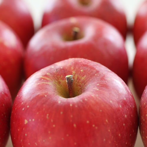 りんご【長野県産】サンふじ！(約3kg)秀品 ＜2026年11月下旬から順次発送＞予定 信州 南信州 高森町 産地直送 果物 くだもの 旬のりんご 山下屋荘介