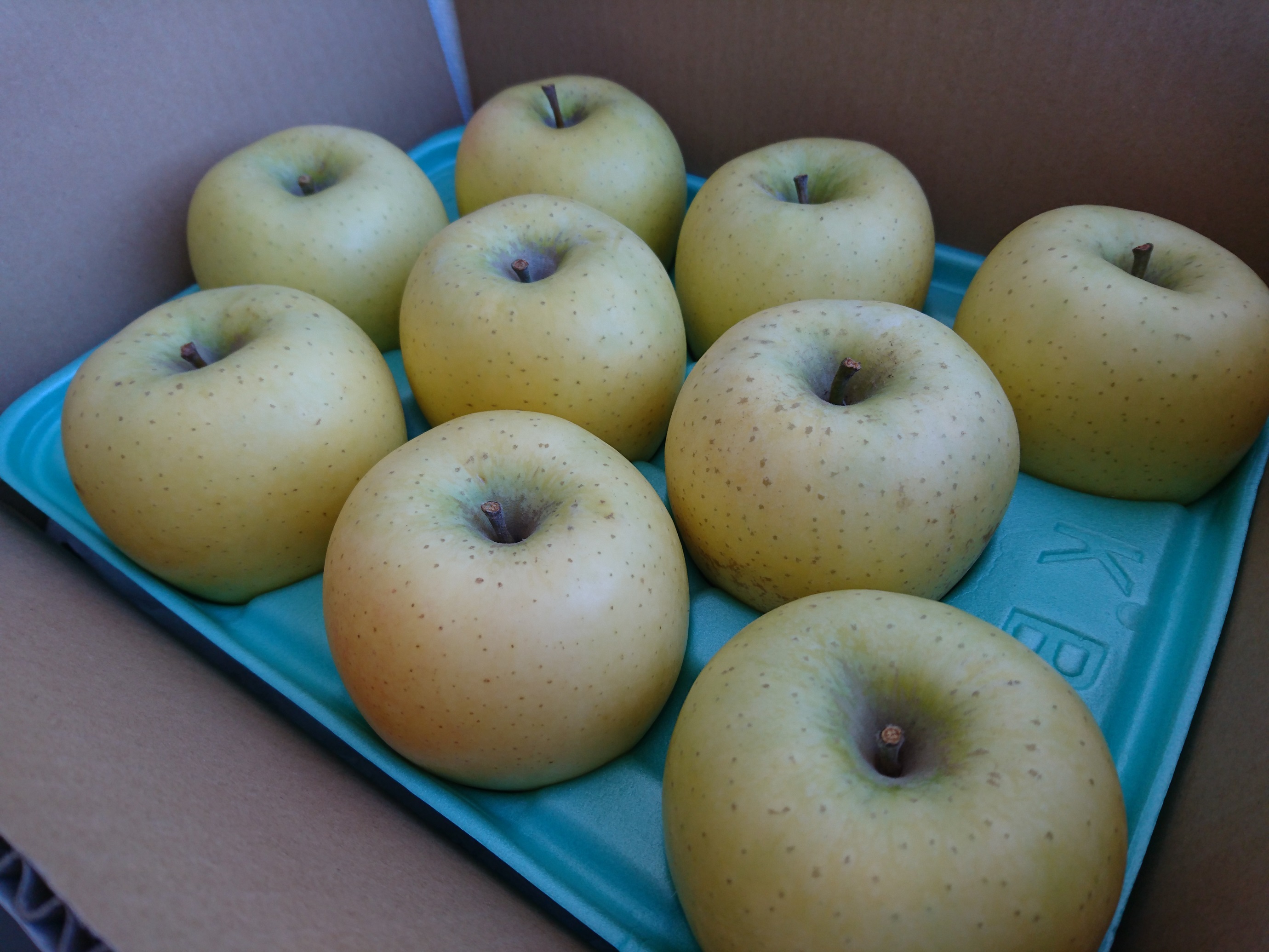 アグリスタくましろのシナノゴールド ご家庭用約3kg(6～12玉) 10月下旬より発送 長野県 信州 南信州 高森町 果物 くだもの 旬 旬の果物 旬のりんご 訳あり アグリスタくましろ