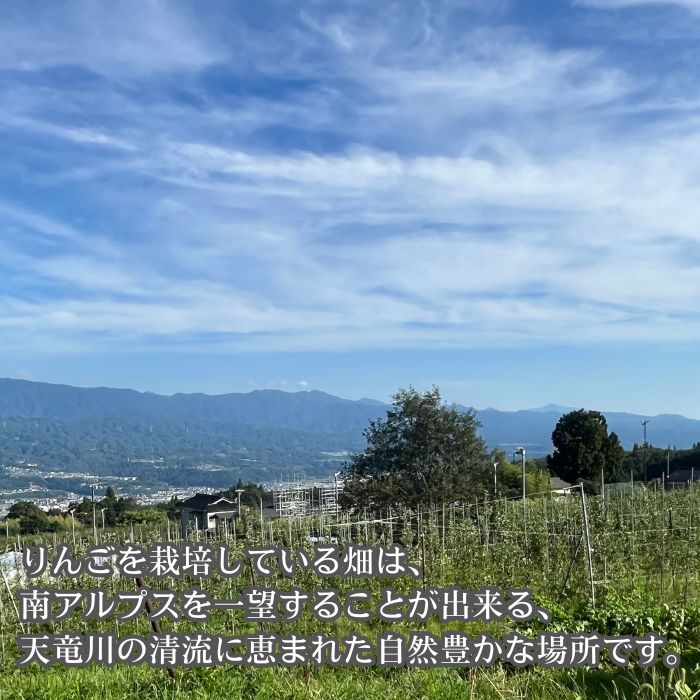 サンつがる 5kg箱＜8月下旬より発送＞ 長野県 南信州 高森町 りんご
