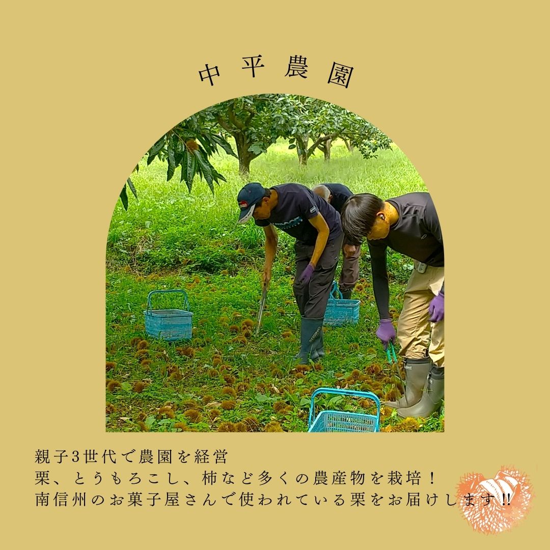 生栗「ぽろたん」約2kg＜2026年9月中旬発送＞