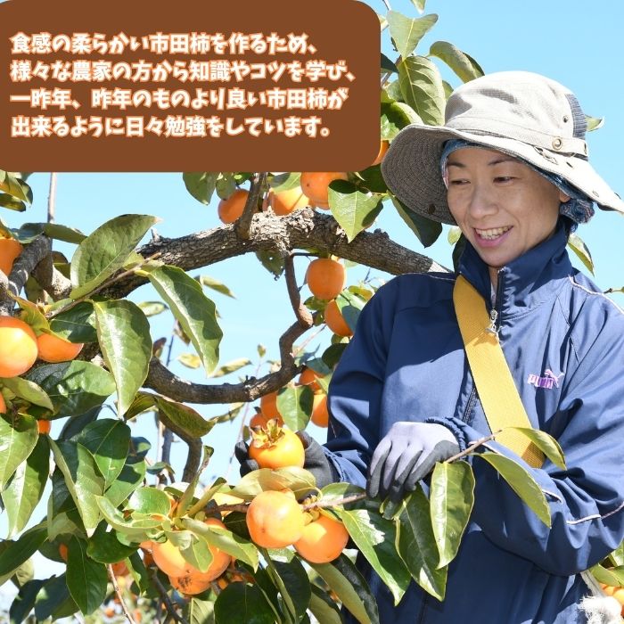 きのした農園の市田柿200g×2袋＜2025年12月中旬より発送＞