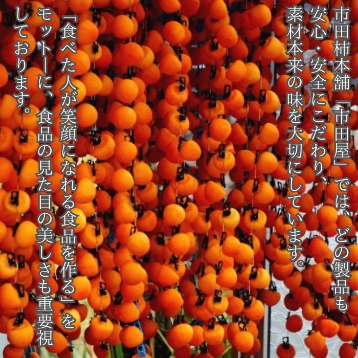 市田柿 柿チップ（100g×3袋）ひとくちサイズ