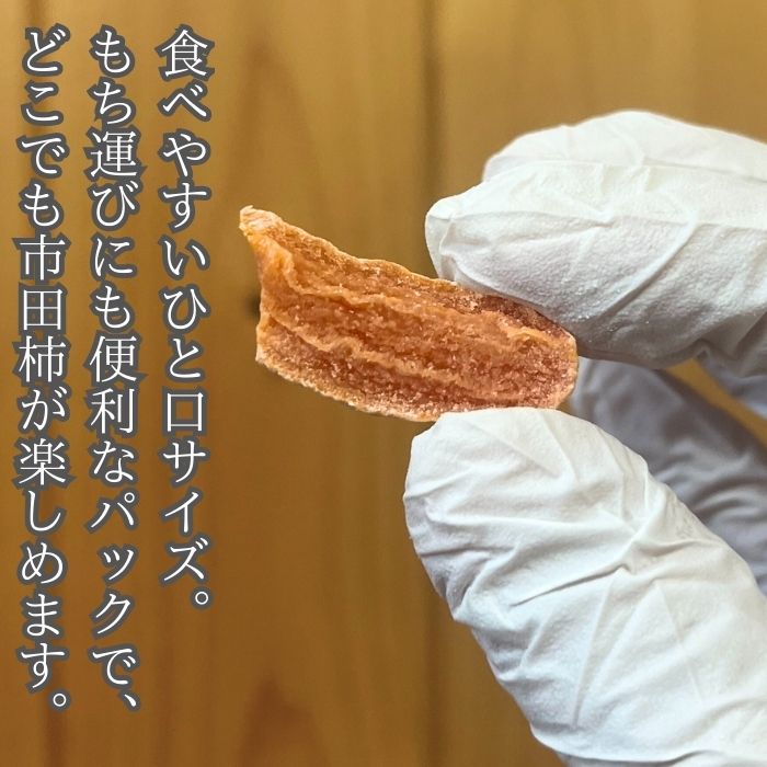 市田柿 柿チップ（100g×6袋）ひとくちサイズ