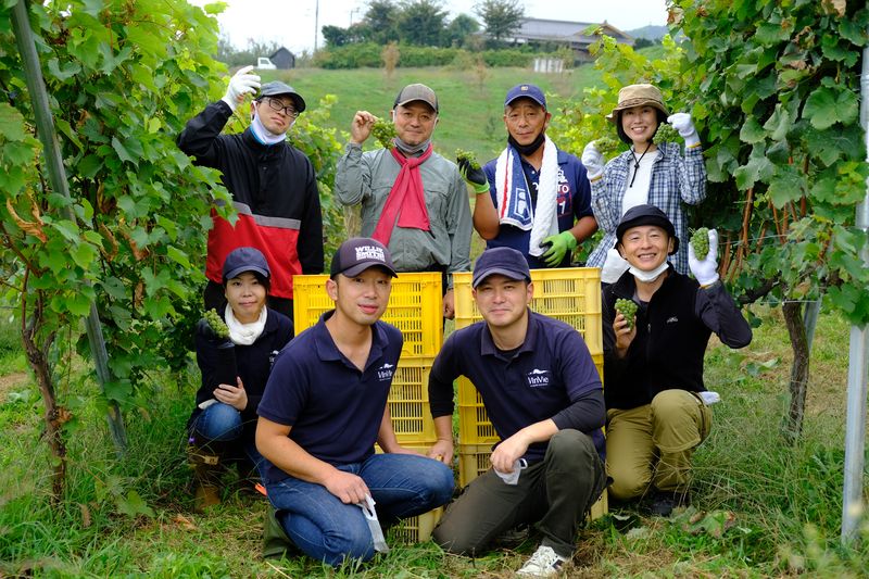 高森町産ぶどう使用 白ワイン 緒 [いとぐち] 750ml×1本 長野県 信州 南信州 お酒 アルコール 辛口 ヴァンヴィ VinVie