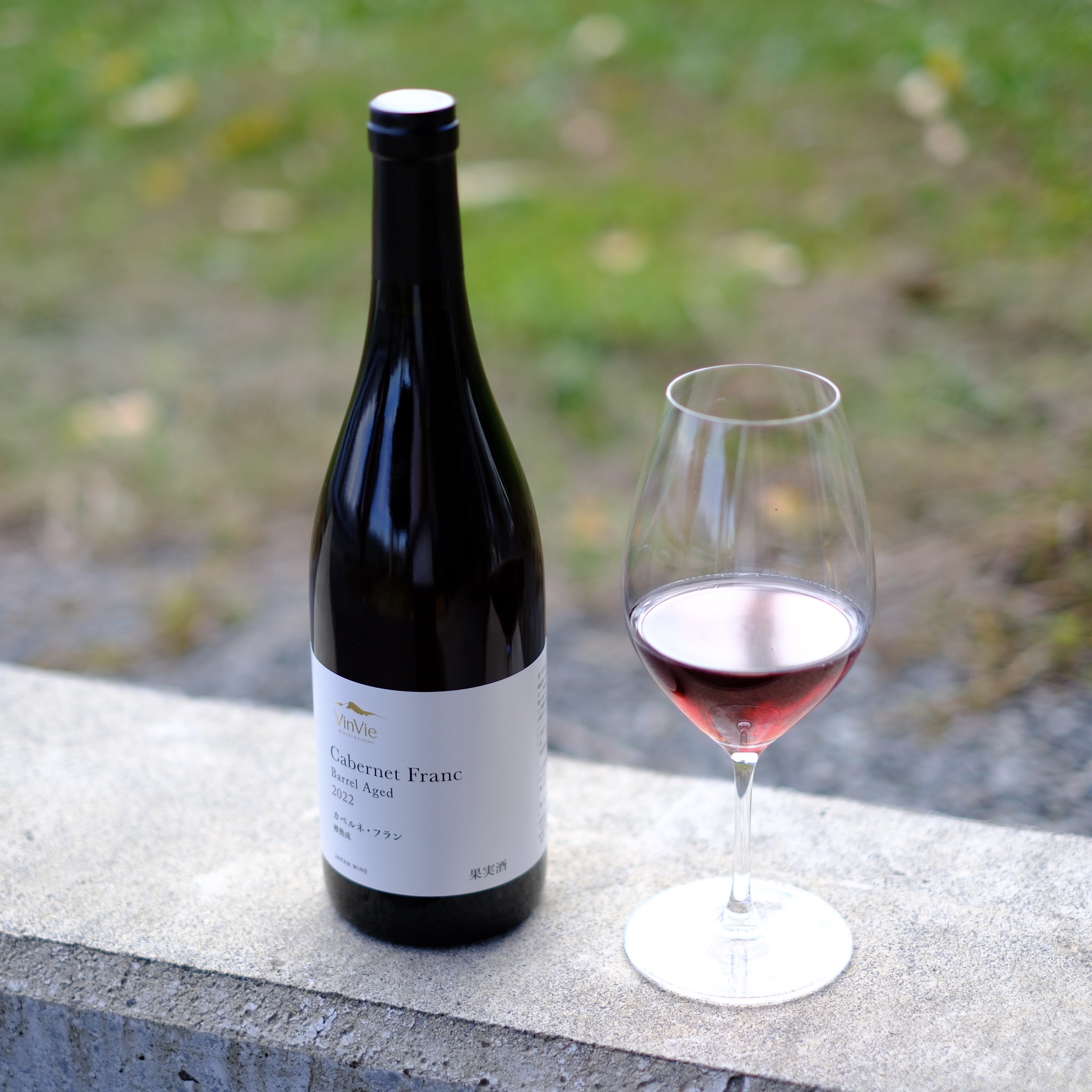 高森町産ぶどう使用 赤ワイン カベルネ・フラン 樽熟成 750ml×1本 長野県 信州 南信州 お酒 アルコール ミディアムボディ 樽熟成 ヴァンヴィ VinVie