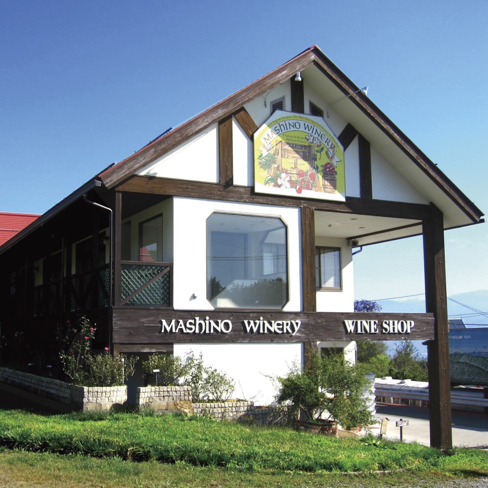 りんごワイン2本セット ふじ＆紅玉 長野県 信州 南信州 高森町 リンゴ お酒 アルコール フルーツワイン 信州まし野ワイン