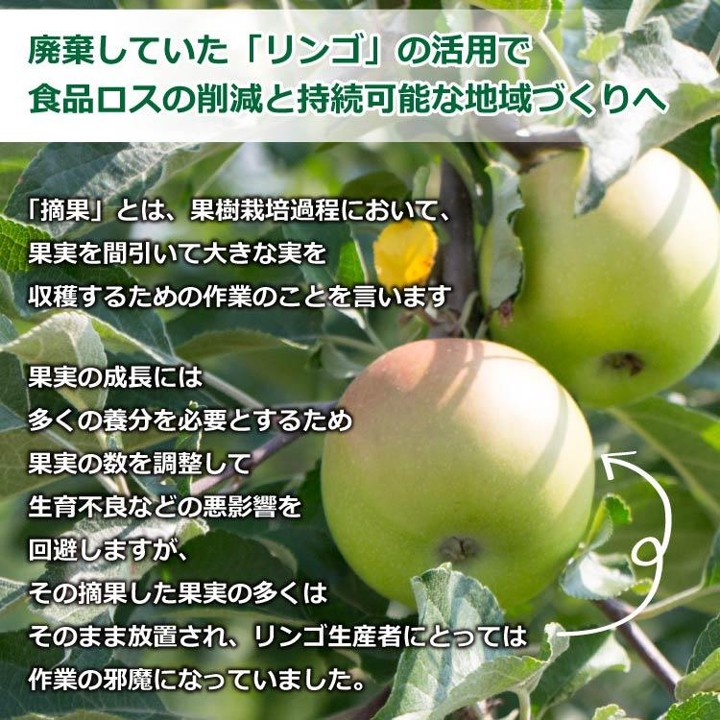 さわやか青りんご 30g×10袋 長野県 信州 南信州 高森町 ソフトドライ 食べやすい おやつ お菓子 スイーツ フードロス 摘果りんご 食品ロス削減 持続可能な地域づくり 株式会社マツザワ