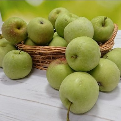 りんご乙女 16枚×2箱 長野県 信州 南信州 高森町 上品 りんごの香り 食べやすい おやつ お菓子 スイーツ フードロス 摘果りんご 食品ロス削減 持続可能な地域づくり 株式会社マツザワ