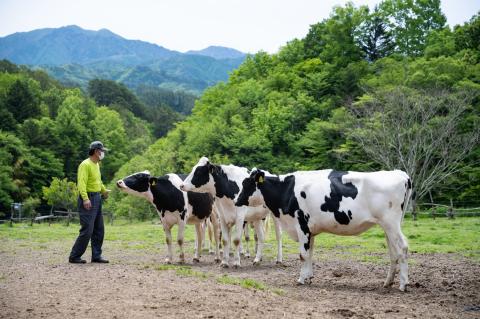いちだヨーグルト 3種類のむヨーグルト詰め合わせ！150ml×18本セット 長野県 信州 南信州 高森町 乳製品 ヨーグルト 飲むヨーグルト 巨峰 シャインマスカット シャイン 信州市田酪農本セット