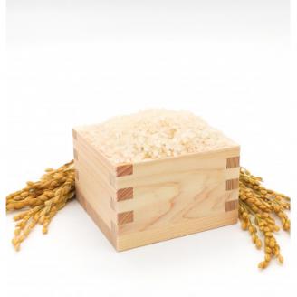 2025年産【南信州高森産】コシヒカリ精米10kg(5kg×2) 長野県 信州 南信州 高森町 米 コメ 農事組合法人フクロウ