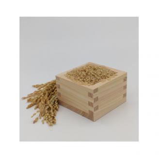 2025年産【南信州高森産】 コシヒカリ玄米20kg(10kg×2袋) 長野県 信州 米 コメ 農事組合法人フクロウ