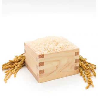 コシヒカリ【毎月定期便】【南信州高森産】コシヒカリ精米10kg(5kg×2袋) 全6回 長野県 信州 南信州 高森町 米 コメ 農事組合法人フクロウ 10kg