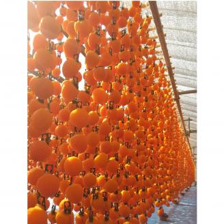 【数量限定】年内発送　市田柿　170g×4パック