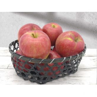 【南信州高森産】旬のシナノスイート100%りんごジュース(1リットル×6本) 長野県 信州 ストレートりんごジュース りんご リンゴ ６本