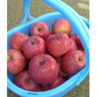 【南信州高森産】サンふじ100%りんごジュース（1L×3本） 長野県 信州 南信州 高森町 ストレートりんごジュース りんご リンゴ ３本