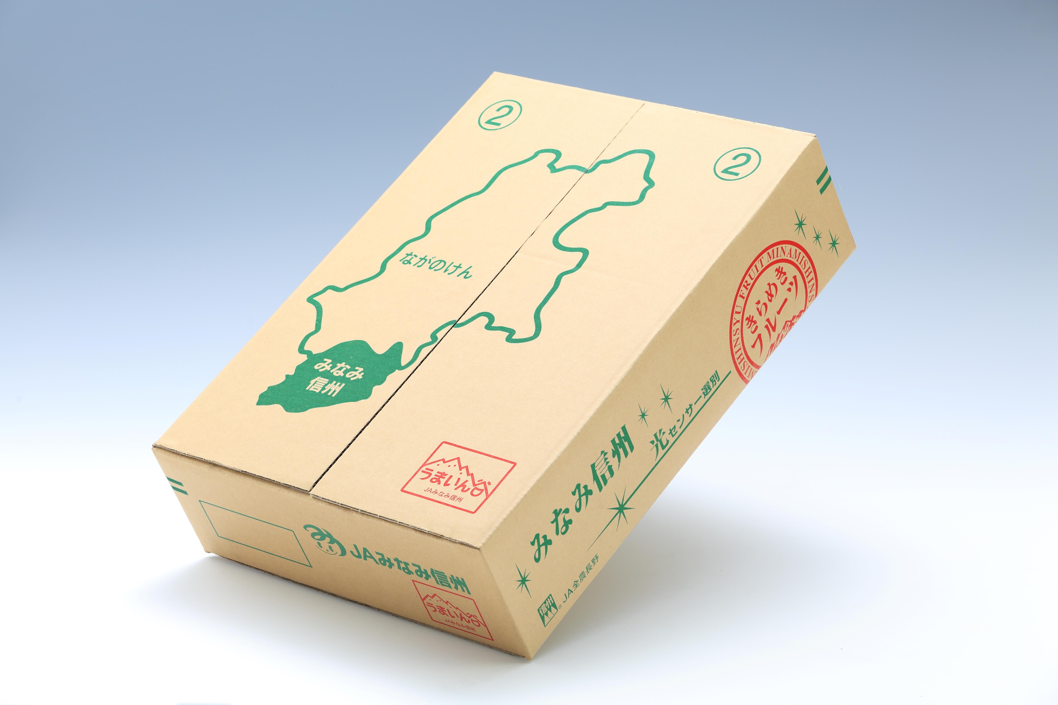 【南信州産】梨「豊水」秀品約5kg（8玉～16玉） 2026年9月上旬より発送 長野県 信州 高森町 産地直送 果物 くだもの なし ナシ 和梨 旬 旬の果物 旬の梨 ギフト 贈答 ほうすい JAみなみ信州