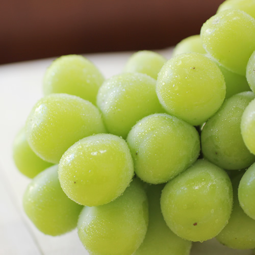 【氷温貯蔵】長野県産・シャインマスカット（約2kg）秀品 11月中旬より発送 信州 南信州 高森町 産地直送 果物 くだもの ぶどう 旬のぶどう シャイン 山下屋荘介