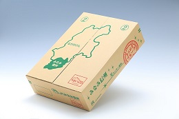 爽やかな風味！【南信州産】シナノゴールド 約5kg 10～18玉 2026年10月下旬より発送 長野県 信州 高森町 産地直送 果物 くだもの 旬のりんご りんご リンゴ りんご3兄弟 JAみなみ信州