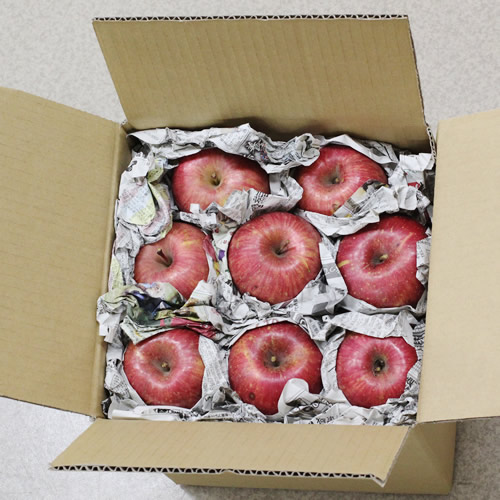 【訳あり品】 長野県産・サンふじ (約5kg)  2026年1月上旬より発送 信州 南信州 高森町 産地直送 果物 くだもの 旬のりんご ご家庭用 山下屋荘介