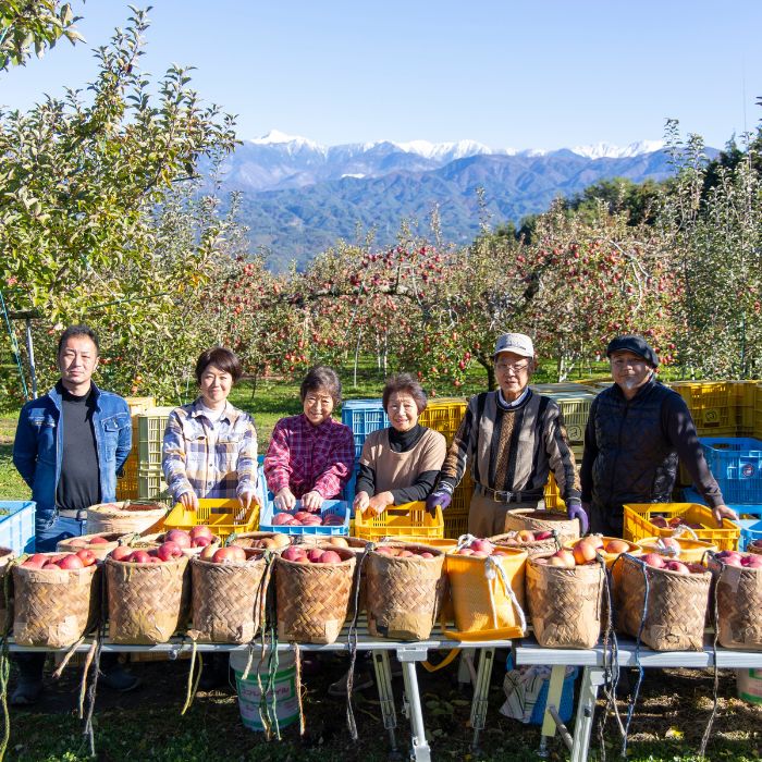 北城農園で人気の南信州産りんご（完熟サンふじ  11-13玉 約4kg)令和7年分先行予約 長野県 信州 高森町 果物 くだもの 旬 旬の果物 旬のりんご