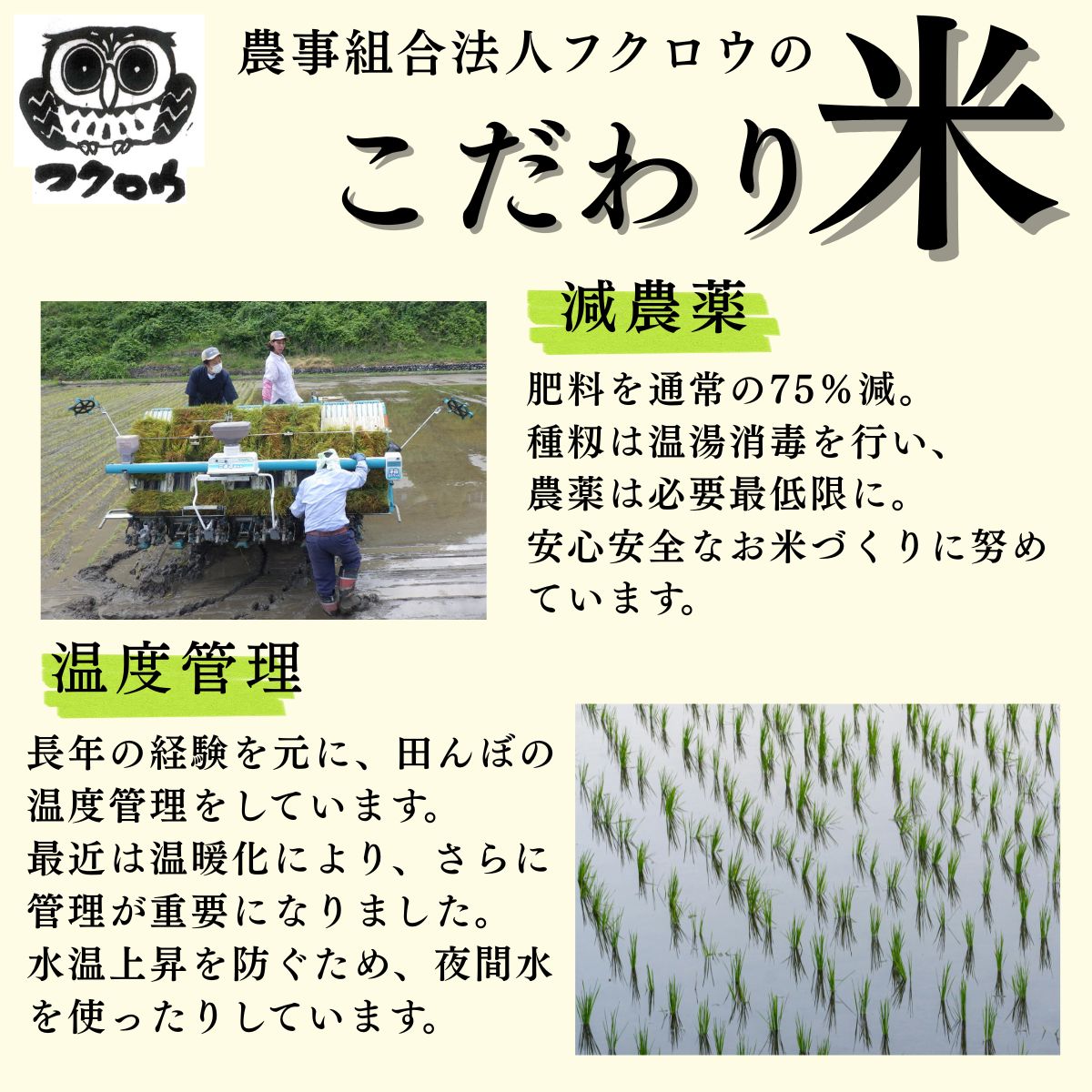 2025年産【南信州高森産】長野県オリジナル米「風さやか」玄米20kg（10kg×2袋）
