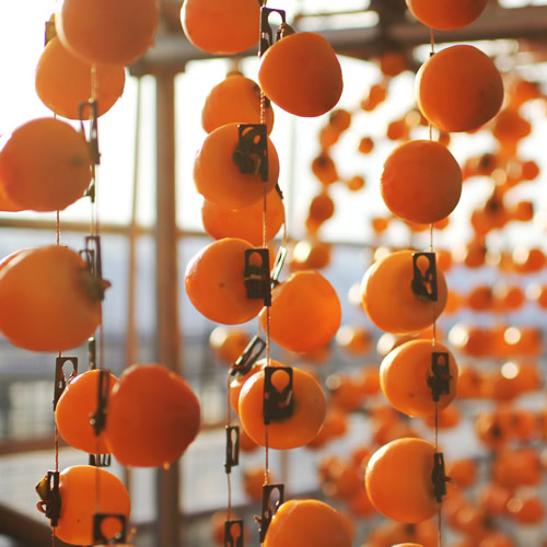 【長野県産】南信州に伝わる伝統の味「市田柿」170g×3袋 2026年1月上旬より発送 信州 高森町 柿 干し柿 かき 高級 和菓子 お茶請け ドライフルーツ 自然食品 山下屋荘介