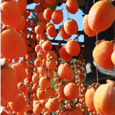 市田柿と市田柿ミルフィーユセット 長野県 信州 南信州 高森町 柿 干し柿 かき 高級 和菓子 お茶請け 和スイーツ スイーツ ワインドライフルーツ 自然食品 株式会社マツザワ