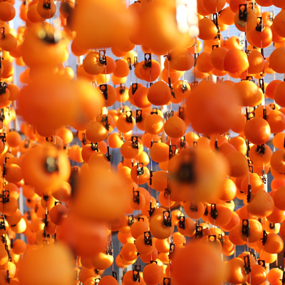 【長野県産】南信州に伝わる伝統の味「市田柿」500g×2袋 2026年1月上旬より発送 信州 南信州 高森町 柿 干し柿 かき 高級 和菓子 お茶請け ドライフルーツ 自然食品 山下屋荘介