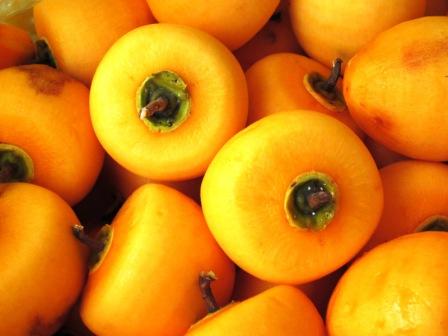 【市田柿専門店　金の柿】市田柿　自家用300g×3袋