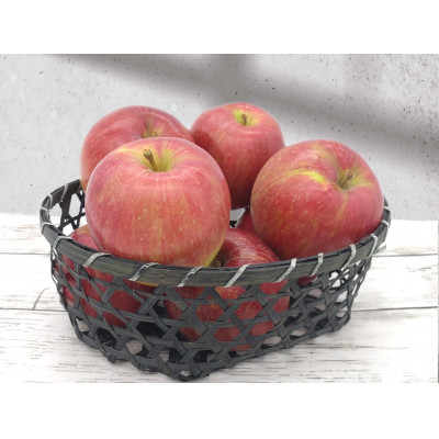 【南信州高森産】旬のシナノスイート100%りんごジュース(1リットル×3本) 長野県 信州 ストレートりんごジュース りんご リンゴ ３本