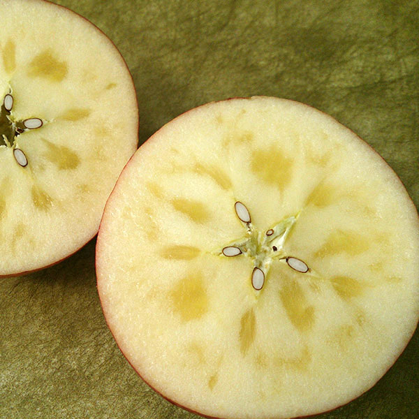 【金の蜜】アグリスタくましろのサンふじジュース6本セット(1L×6本) 長野県 信州 南信州 高森町 りんご りんごジュース